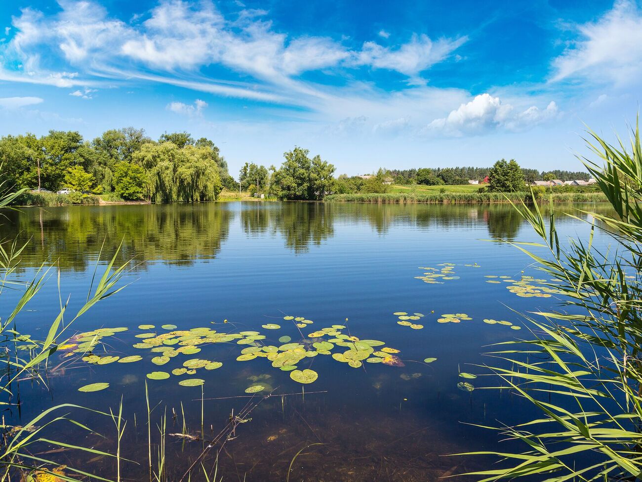С начала года на воде в Украине погибли 517 граждан, из них 58 – дети