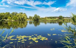 С начала года на воде в Украине погибли 517 граждан, из них 58 – дети