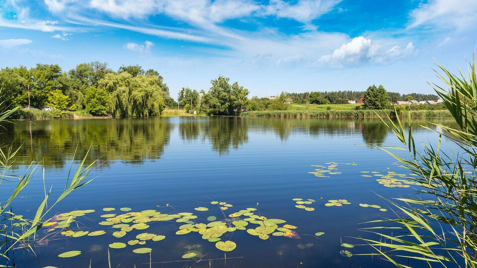 Із початку року на воді в Україні загинуло 517 громадян, із них 58 – діти
