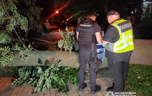 Одна из госпитализированных находится в тяжелом состоянии