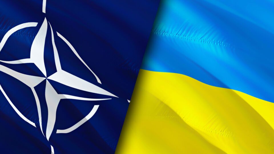 Десятки экспертов боятся, что "мост в НАТО" для Украины может обернуться угрозами