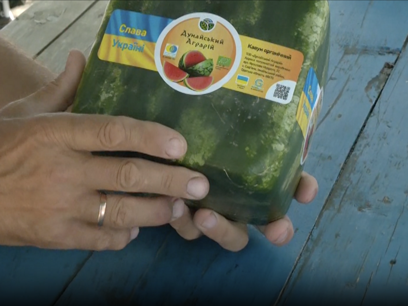 Предприятие занимается выращиванием арбузов кубической формы и различной органической продукции