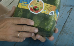 Предприятие занимается выращиванием арбузов кубической формы и различной органической продукции