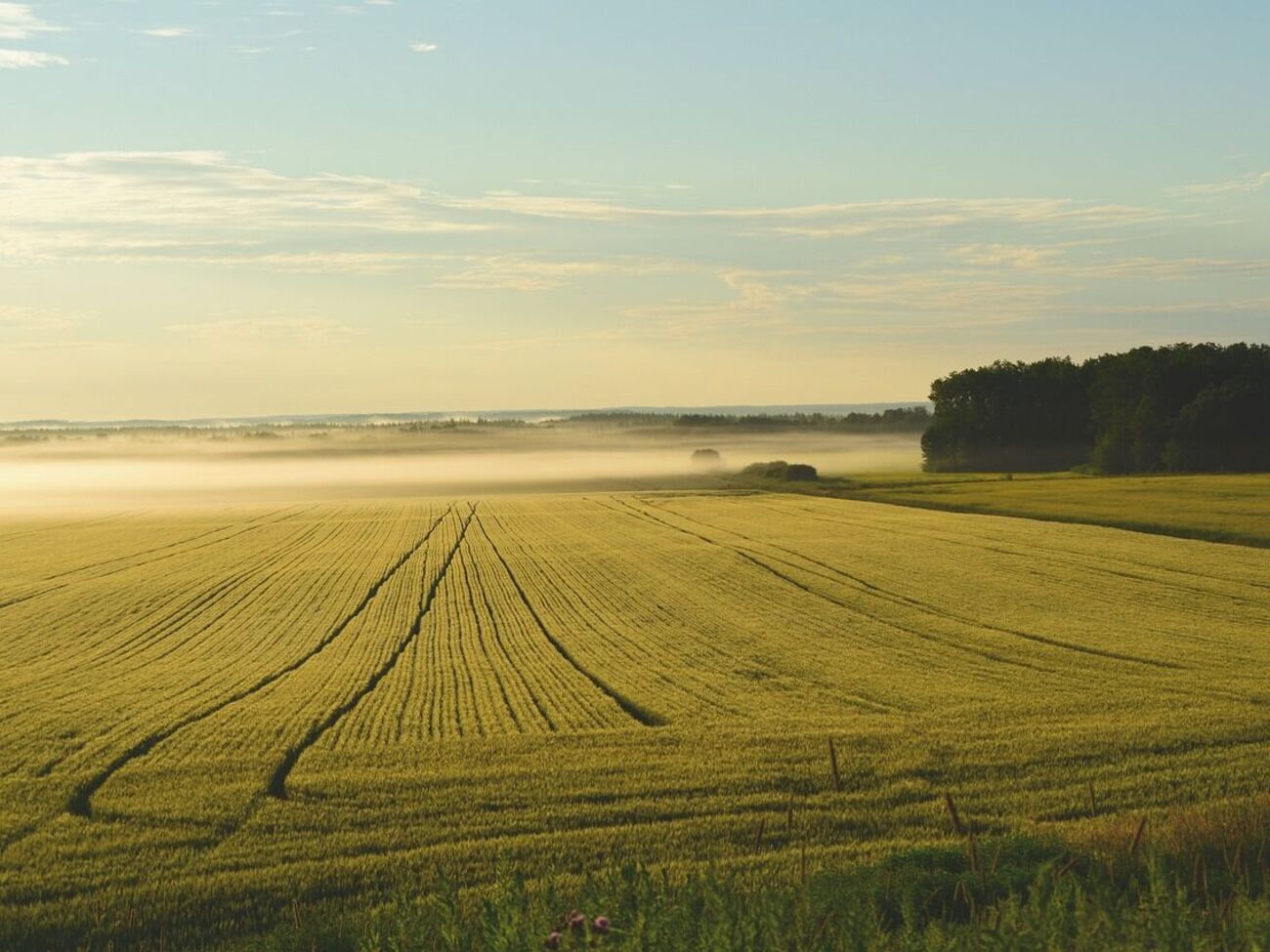 Рынок земли открыли в Украине 1 июля 2021 года