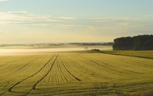 Рынок земли открыли в Украине 1 июля 2021 года