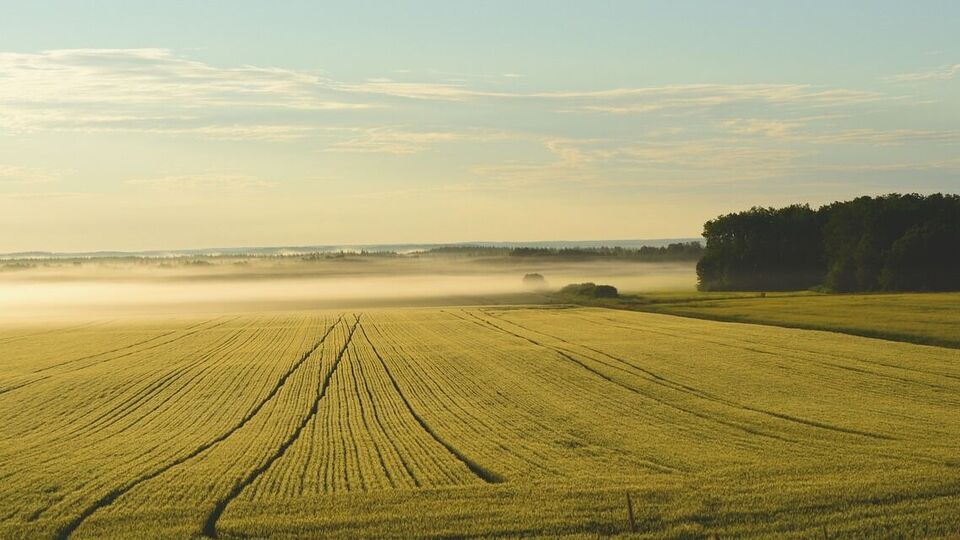 Рынок земли открыли в Украине 1 июля 2021 года