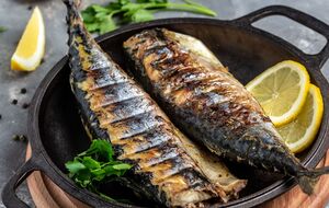 Выбирайте небольшие тушки скумбрии, так как они менее жирные