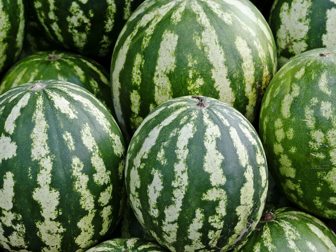 По словам эксперта, в магазине по хвостику арбуза сложно определить его спелость