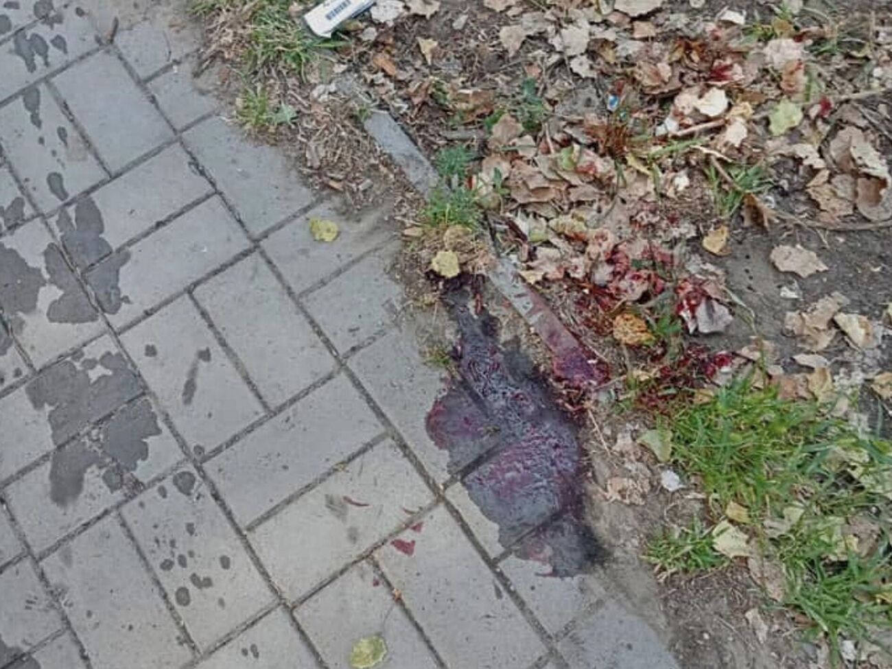 Оккупанты 10 августа атаковали Днепровский район Херсона, отметили в ГВА