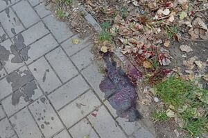 Окупанти 10 серпня атакували Дніпровський район Херсона, зазначили у МВА