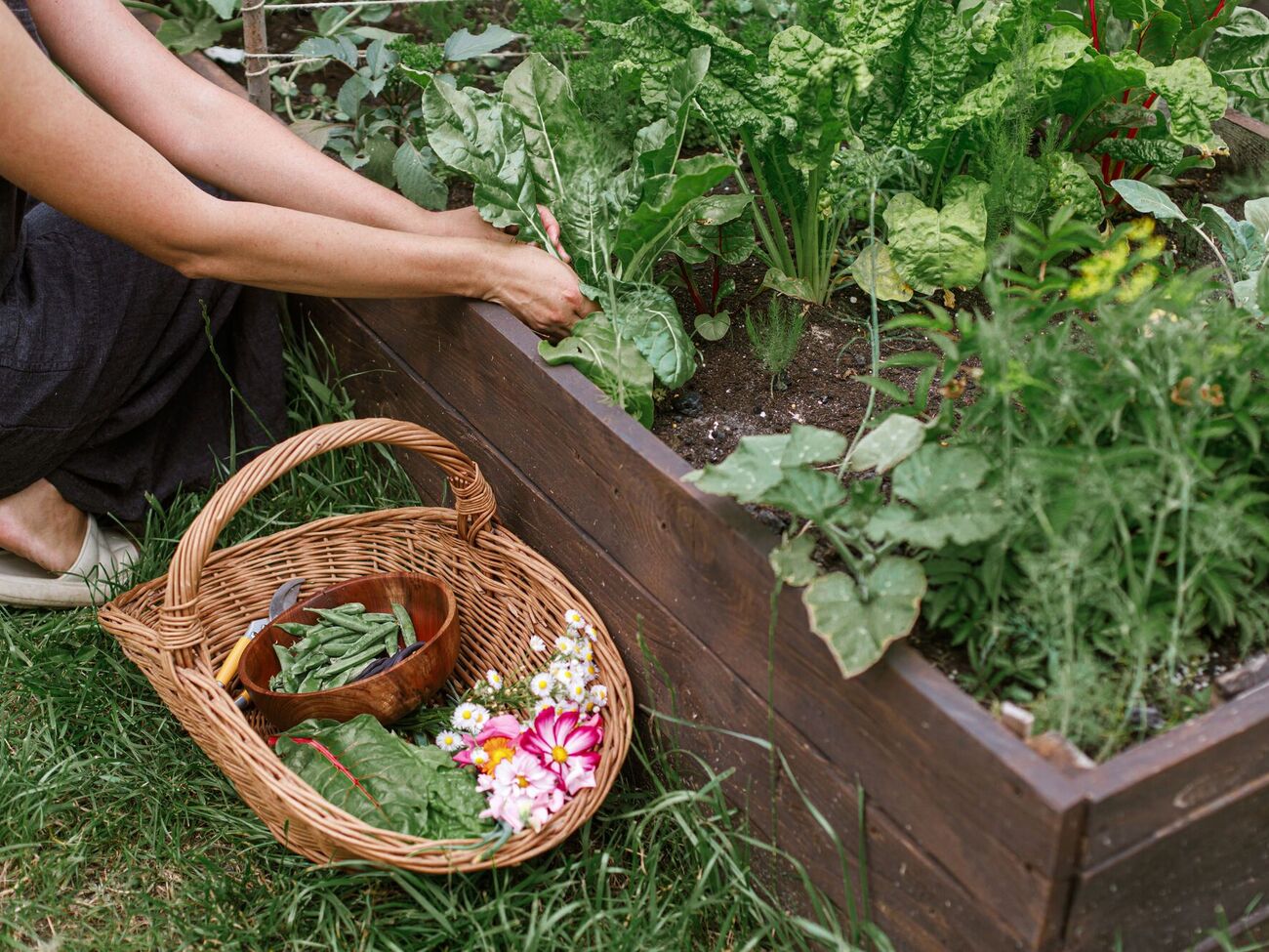 Обновление почвы поможет улучшить ваш урожай