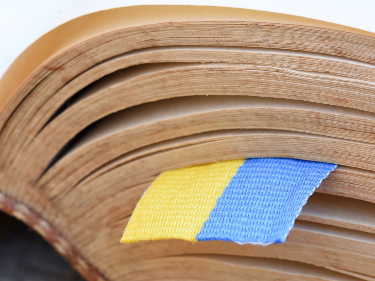 Українського компонента в курсі має бути щонайменше 2/3 від усього навчального змісту