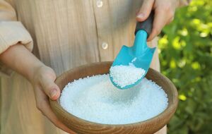 Соль в саду поможет бороться с вредителями