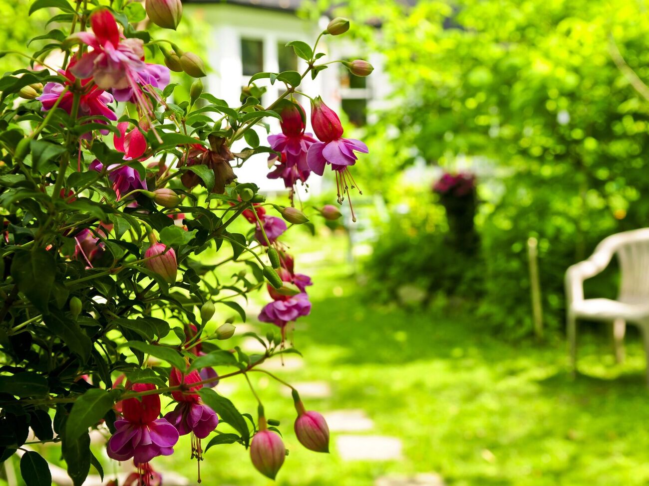 К отходам, которые можно эффективно использовать на участке в качестве органических удобрений, относятся кожура овощей и фруктов, кофейная гуща и яичная скорлупа