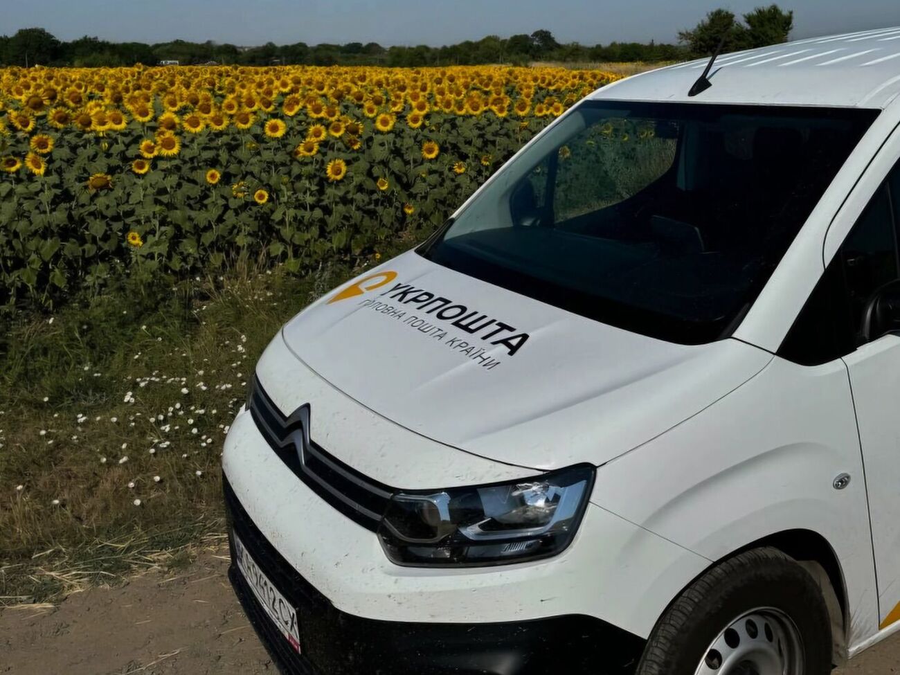 В "Укрпошті" розповіли, звідки можна взяти фінансування для росіян