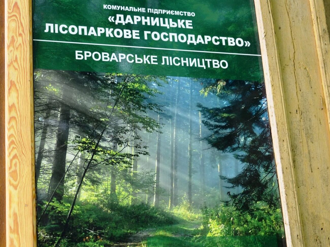 Днем в Дарницком лесопарковом хозяйстве выявили падение обломков БПЛА, рассказал Кличко