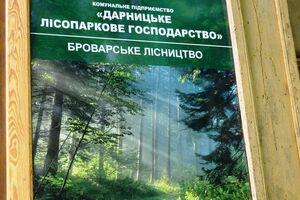 Днем в Дарницком лесопарковом хозяйстве выявили падение обломков БПЛА, рассказал Кличко