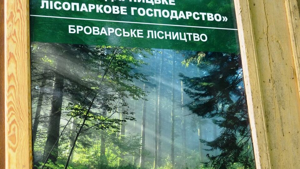 Удень у Дарницькому лісопарковому господарстві виявили падіння уламків БПЛА, розповів Кличко