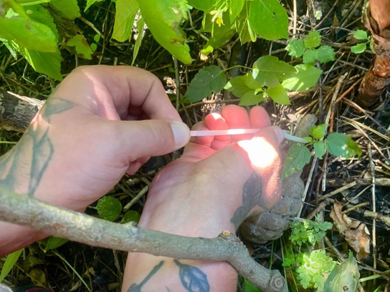 Детям повезло, что внимательные родители вовремя заметили, как дети решили взять гранату в руки, отметили в ГСЧС