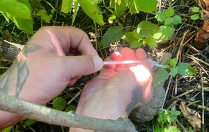 Детям повезло, что внимательные родители вовремя заметили, как дети решили взять гранату в руки, отметили в ГСЧС