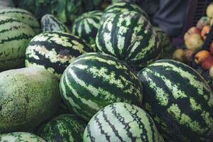 Арбузы, которые слишком долго находятся на солнце, начинают гнить