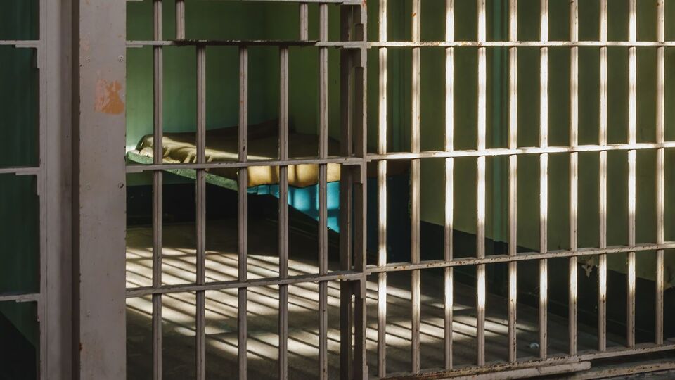 16 серпня, у день візиту журналістів, в українській в'язниці перебував 71 російський військовополонений, зазначила NYT