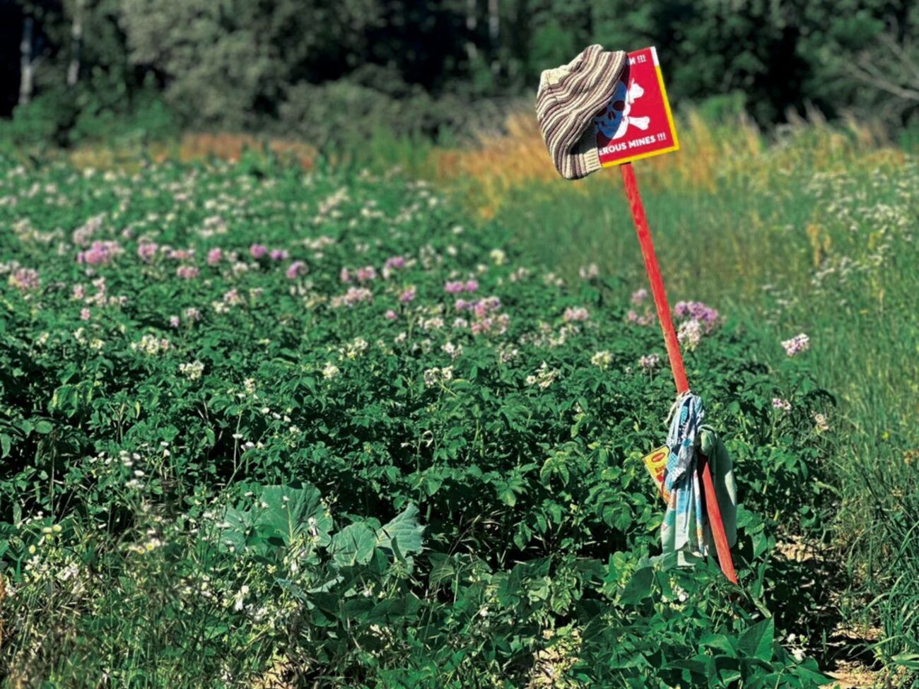 Cапери закликали цивільних не використовувати таблички про мінну загрозу в господарстві й дотримуватися правил безпеки, зазначили у ДСНС