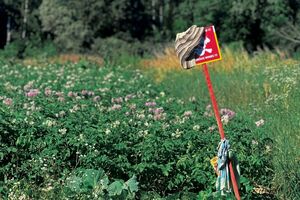 Cапери закликали цивільних не використовувати таблички про мінну загрозу в господарстві й дотримуватися правил безпеки, зазначили у ДСНС