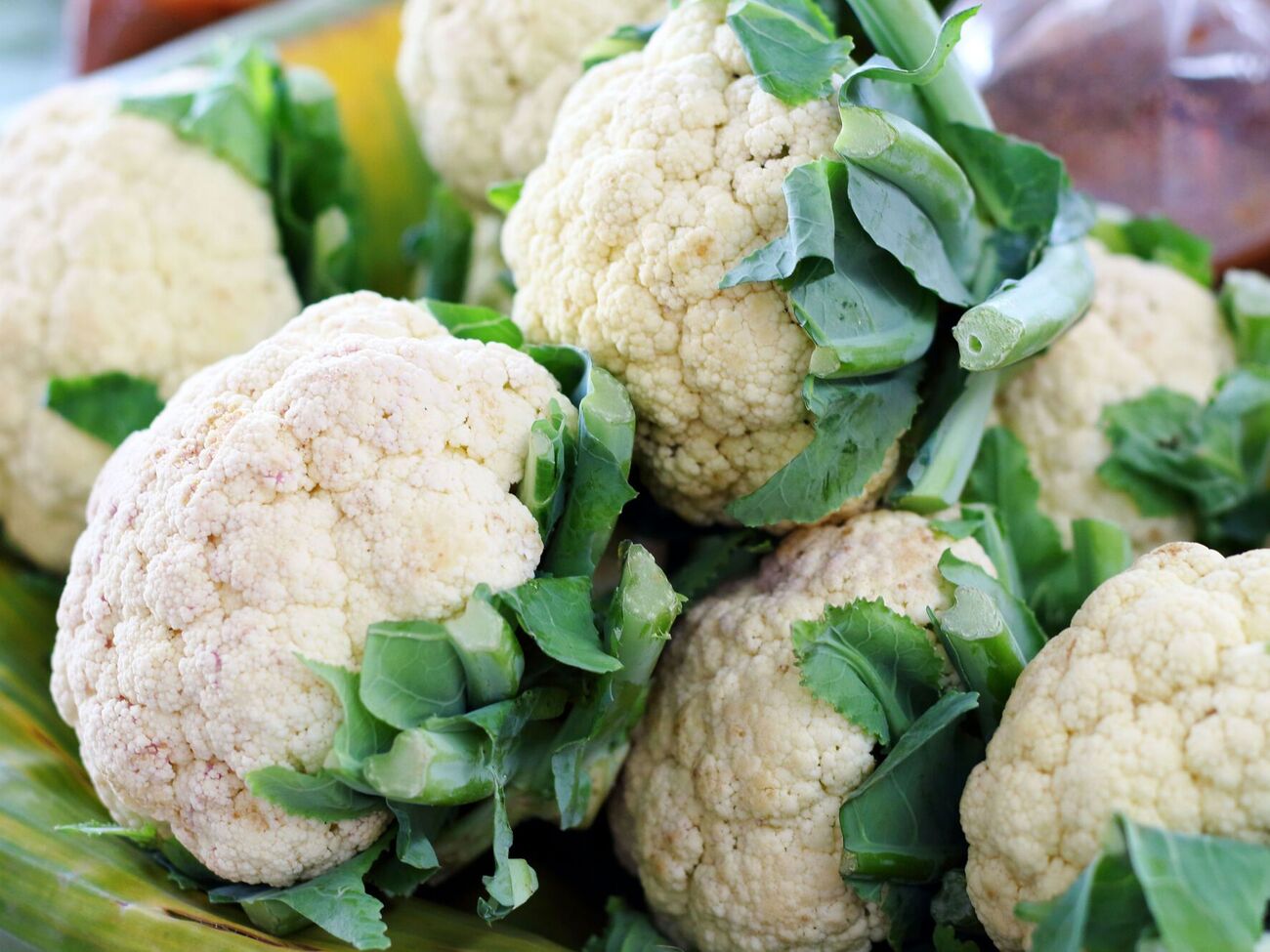 Рыбная мука подкормит цветную капусту