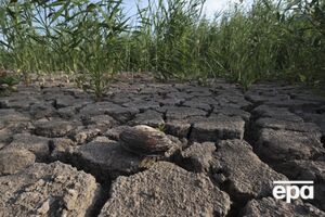 Херсонська область страждає через брак зрошення, розповіли в ОВА