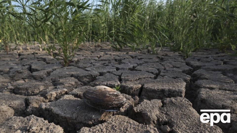 Херсонська область страждає через брак зрошення, розповіли в ОВА
