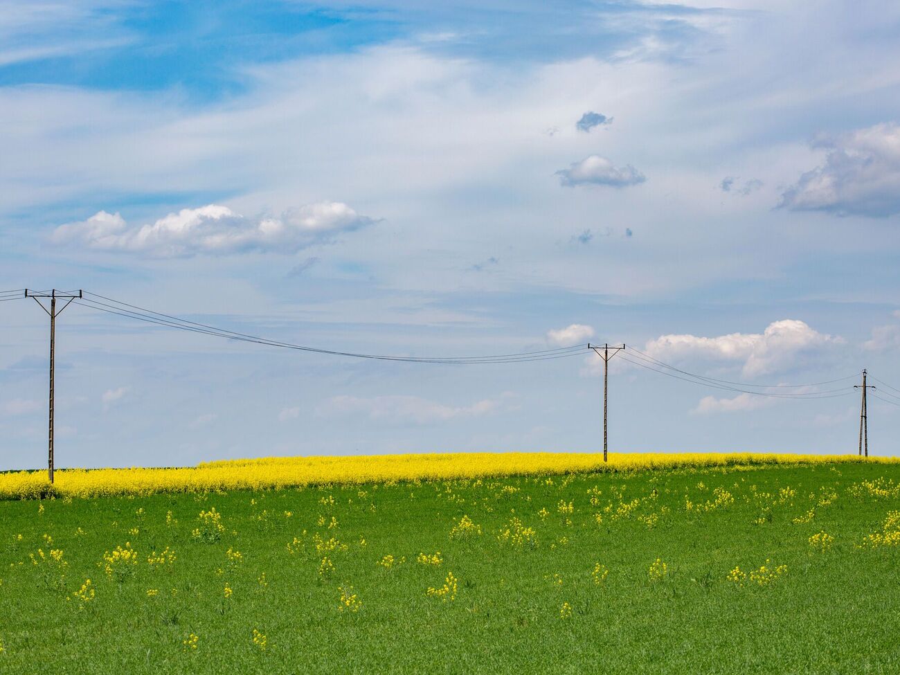 Увеличение импорта электроэнергии позволит уменьшить количество отключений света во время жары, отметил эксперт