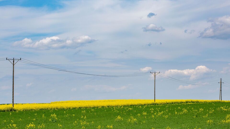 Збільшення імпорту електроенергії дасть змогу зменшити кількість вимкнень світла під час спеки, зазначив експерт