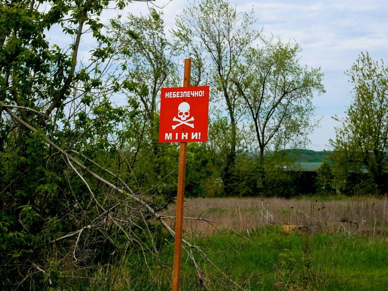 Чоловік порався на своєму городі