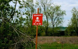 Мужчина работал на своем огороде