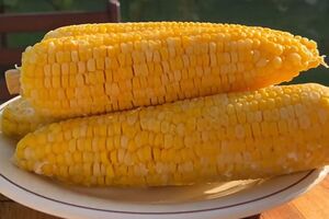 Для приготування кукурудзи її потрібно залити водою і молоком