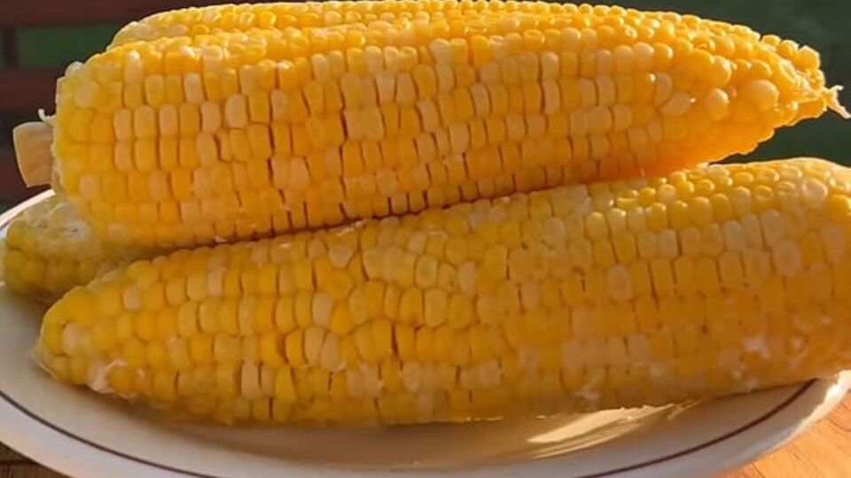 Для приготування кукурудзи її потрібно залити водою і молоком