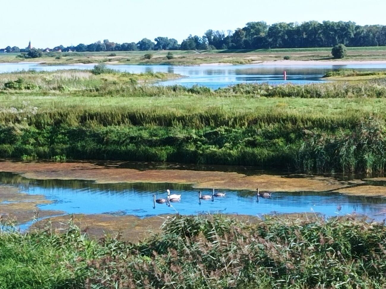 Часть территории заповедника недоступна для обследования и выявления реальных последствий российской оккупации