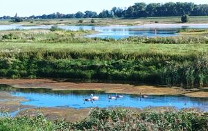 Часть территории заповедника недоступна для обследования и выявления реальных последствий российской оккупации