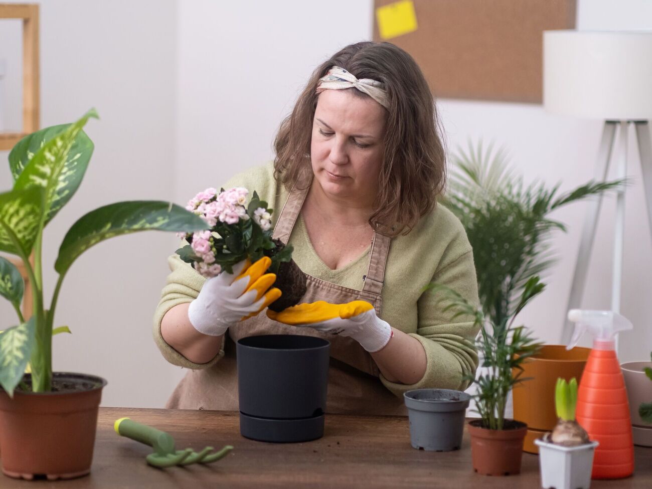 Керамзит в горшки, оказывается, можно не добавлять