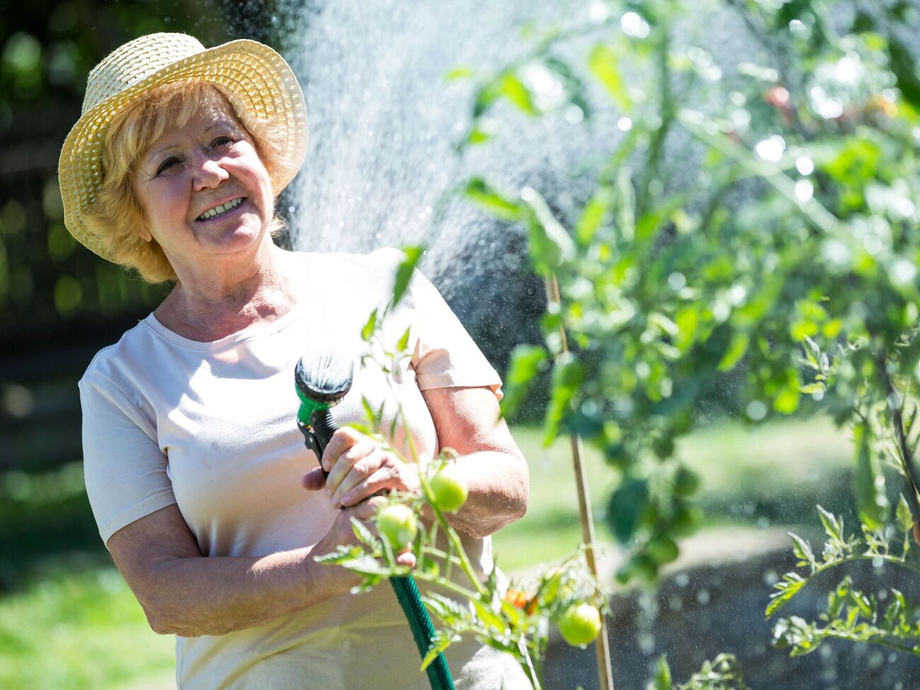 Любые опрыскивания проводят с нижней стороны листа