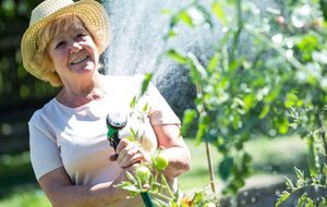 Любые опрыскивания проводят с нижней стороны листа