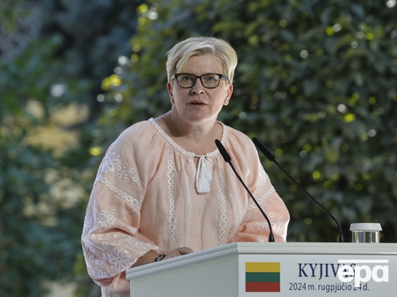 Шимоніте розповіла про допомогу для України