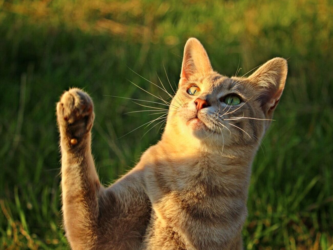 Жара спадет в начале учебного года, прогнозирует Диденко