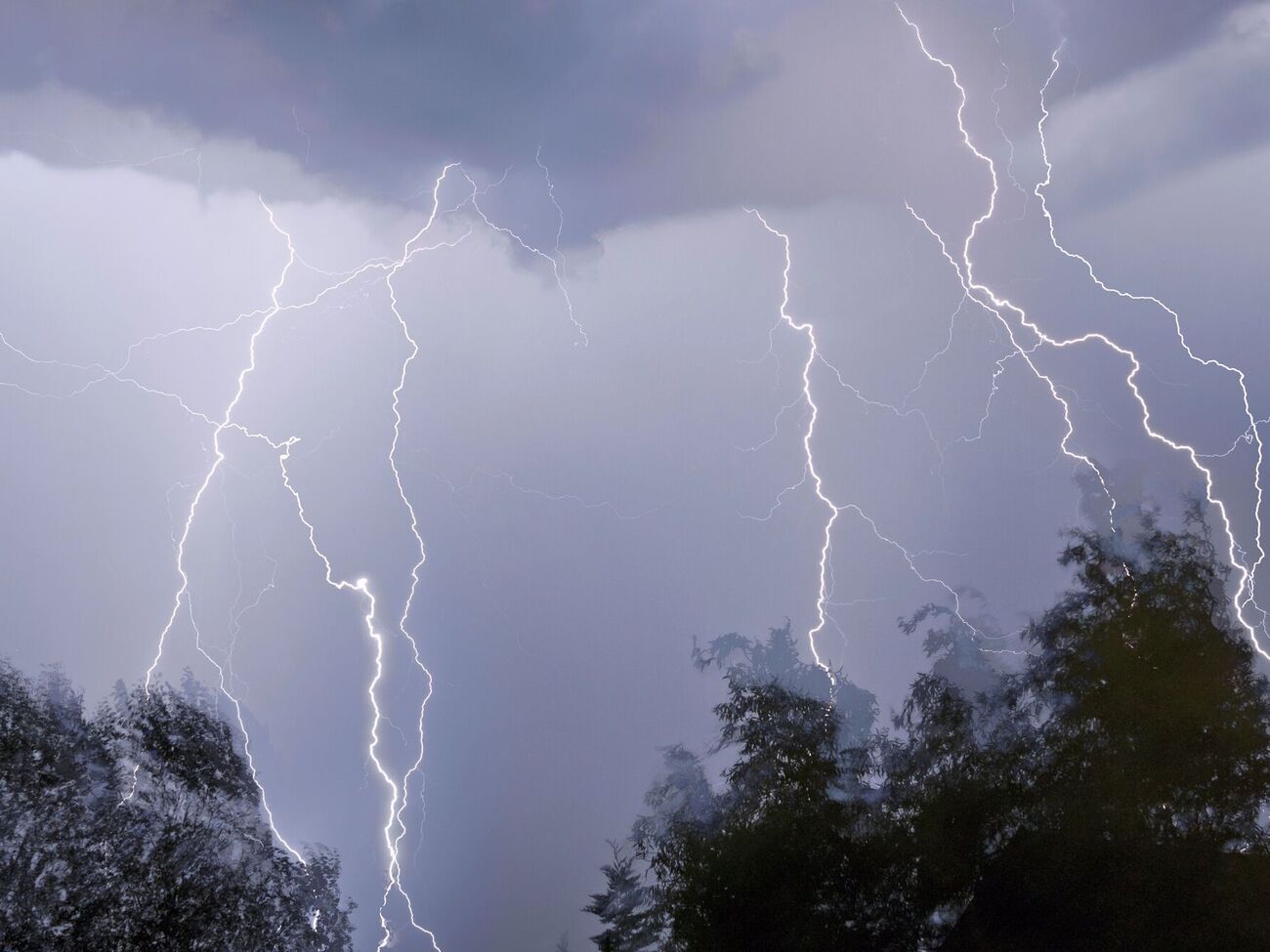Молния попадает в высокие деревья