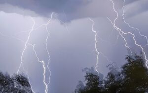 Молния попадает в высокие деревья