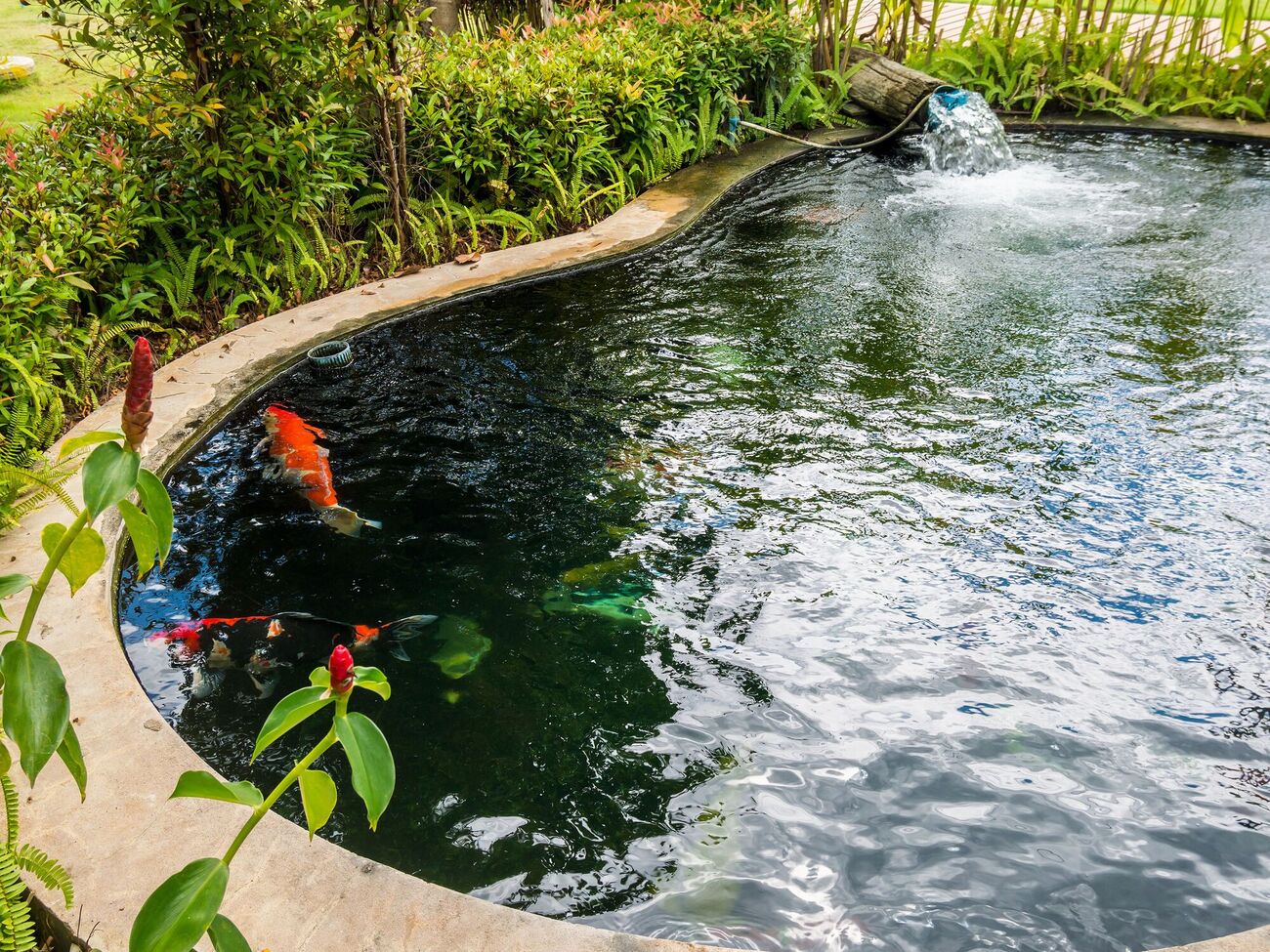 Небольшой пруд можно выкопать собственноручно