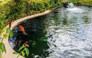 Небольшой пруд можно выкопать собственноручно