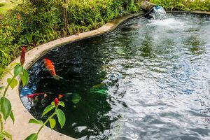 Невеликий ставок можна викопати власноруч