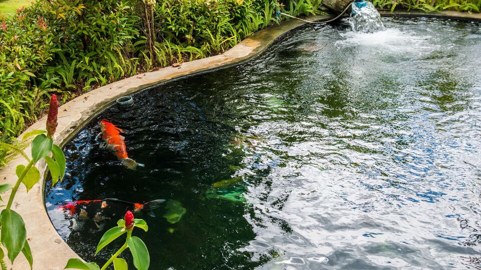 Небольшой пруд можно выкопать собственноручно